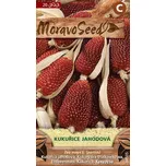 MoravoSeed Kukuřice jahodová 20 g
