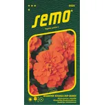 SEMO Bonanza Deep Orange aksamitník…
