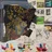 Time Skiffs - Animal Collective, [CD]