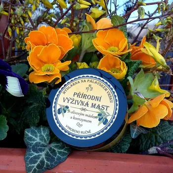 Přípravek do solárií Přírodní výživná mast s olivovým máslem a Q10 50ml