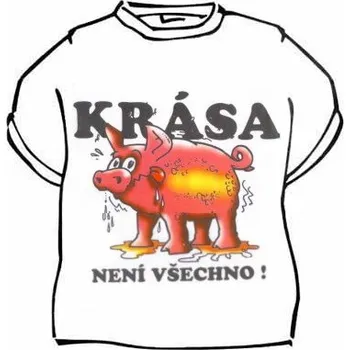 Žertovný předmět Tričko - Krása není všechno Velikost: S