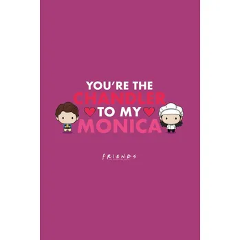 Plakát Plakát, Obraz - Friends - Monica and Chandler