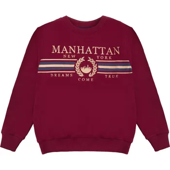 Chlapecká mikina Chlapecká mikina - Winkiki WTB 01775, bordo Barva: Bordo, Velikost: 140