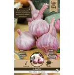 Florex Sultop česnek jarní 3 ks