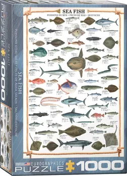 Puzzle Eurographics Mořské ryby 1000 dílků