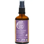 TIERRA VERDE Osvěžovač vzduchu – BIO levandule (lahvička 100 ml)