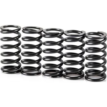 Spojková sada Pružiny spojky sada MOTION STUFF STF-501-5001