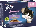 Felix Fantastic Junior 12x 85 g