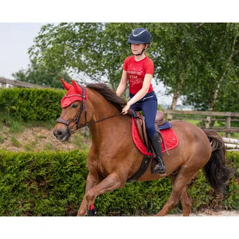 Chlapecké tričko QHP Triko Zora QHP, dětské, red 116