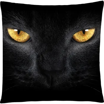 Polštář Polštář s motivem kočky 50 Mybesthome 40x40 cm Varianta: Povlak na polštář s výplní, 40x40 cm