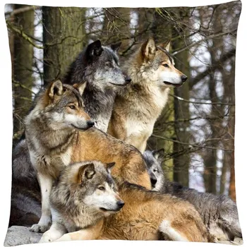 Polštář Polštář s vlkem 26 Mybesthome 40x40 cm Varianta: Povlak na polštář, 40x40 cm