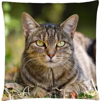 Polštář Polštář s motivem kočky 33, hnědá, Mybesthome 40x40 cm Varianta: Povlak na polštář, 40x40 cm