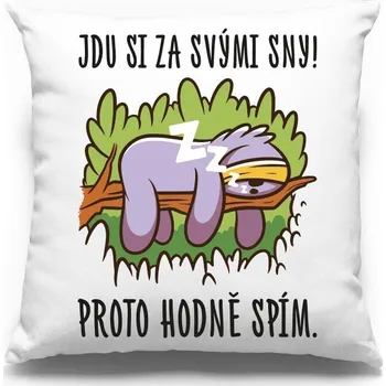 Dekorativní polštářek Vtipný polštář Jdu si za svými sny!, Barva Bílá, Velikost 40×40 cm, Canvas Polštářek Bezvatriko.cz 1038 - DTF/DTG