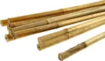 Growmarket 39718 opěrná bambusová tyčka…