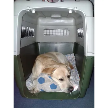 přepravka pro zvíře Přepravka na psa Kennel III. 90x60x68cm