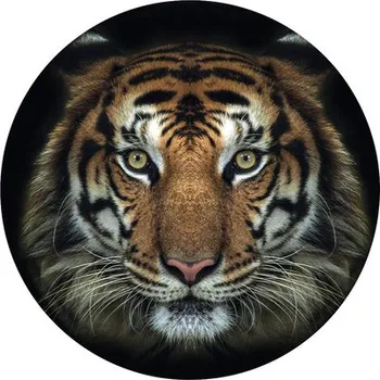 Fototapeta Fototapeta vliesová Tygr 190 cm