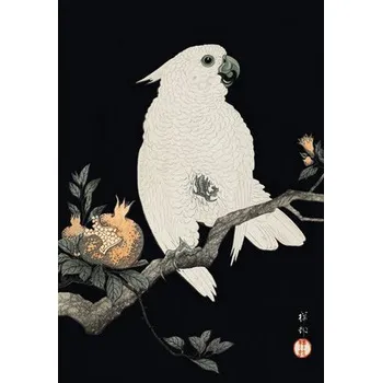 Fototapeta Fototapeta vliesová Kakadu 194x280 cm