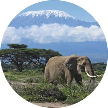 Fototapeta Fototapeta vliesová Kilimandžáro 95 cm