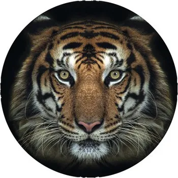 Fototapeta Fototapeta vliesová Tygr 142,5 cm