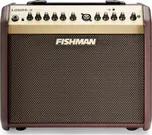 Fishman Loudbox Mini Bluetooth