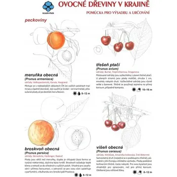 Encyklopedie Rezekvítek Ovocné dřeviny v krajině