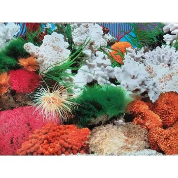 Dekorace do akvária Akvarijní tapeta mořská č.21 – výška 40 cm