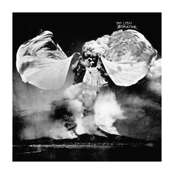 Zahraniční hudba CD The Luyas: Animator 2012