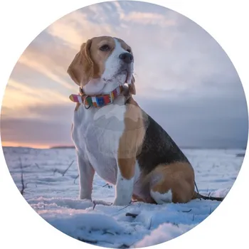 Jedlá dekorace na dort Caketools Jedlý papír "Psi 11" Bígl - A4