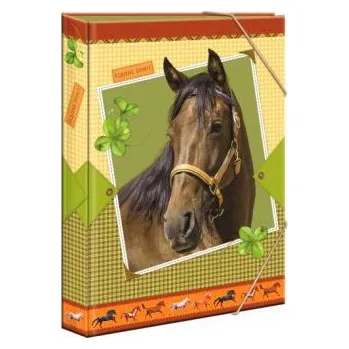 desky na sešit Desky školní kůň A5