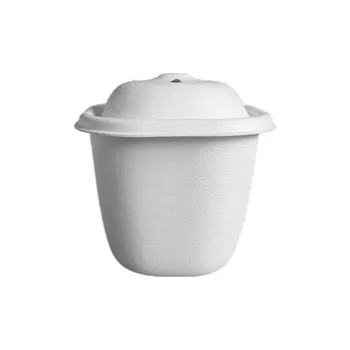 Jednorázové nádobí Cookplay Jednorázový box Chikio EKO Burger Side, cukrová třtina, 25 ks