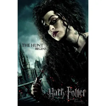 Plakát Plakát, Obraz - Harry Potter - Bellatrix