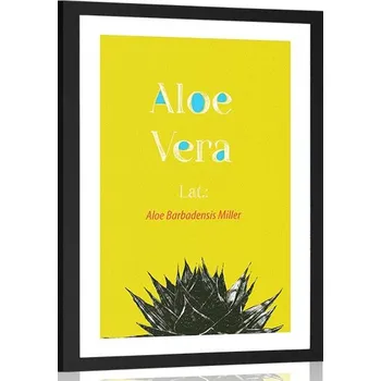 Plakát Dovido Plakát s paspartou zázračná Aloe Vera
