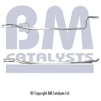 Výfuková trubka Výfuková trubka BM CATALYSTS BM50119