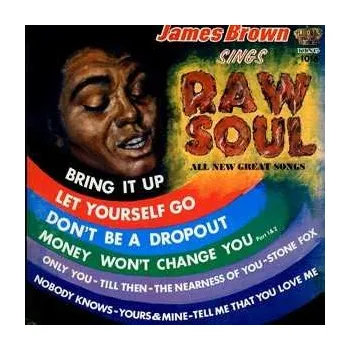 Zahraniční hudba LP James Brown: Raw Soul 1998