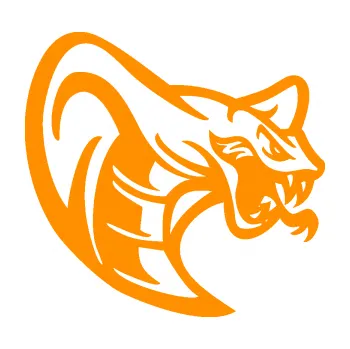 Samolepící dekorace Cobra 007 pravá (06 - oranžová) SAMOLEPKA NA AUTO, NÁLEPKA, FÓLIE, POLEP, TUNING, VLASTNÍ TEXT, TISK, AUTOSAMOLEPKY.cz, POLEPY, OBRÁZEK, LOGO, 3D STICKERS