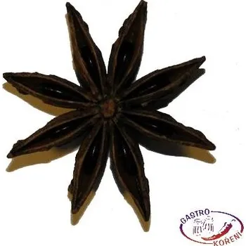 Koření Badyán celý hvězdičky sáček 35g