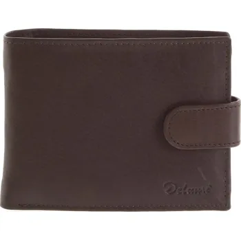 Peněženka Pánská kožená peněženka Andrea, hnědá