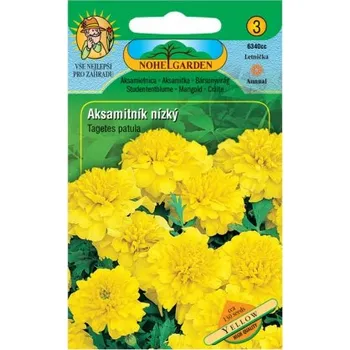 Semeno Aksamitník rozkladitý plnokvětý, žlutý