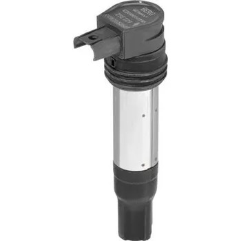 Zapalovací cívka Zapalovací cívka BorgWarner (BERU) ZSE229