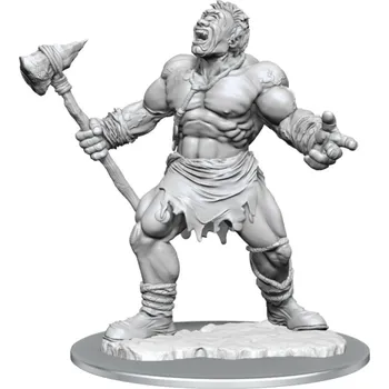 Desková hra WizKids D&D Nolzur's Marvelous Miniatures - Cyclops