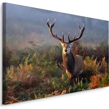 MyBestHome BOX Plátno Impozantní Jelen V Lese Varianta: 30x20