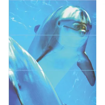 Cerrol Delphines B komplet 3 20x50x0,9 /3ks/ dekor