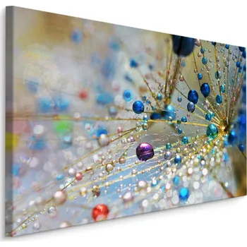 Plátno Pampeliška a Barevné Kapky Varianta: 70x50