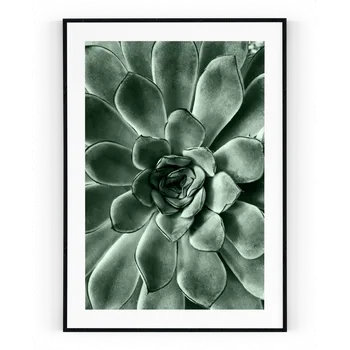 Plakát Plakát / Obraz Kaktusový květ Pololesklý saténový papír S bílým okrajem A4 - 21 x 29,7 cm