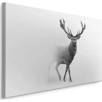 MyBestHome BOX Plátno Jelen V BW I. Varianta: 30x20