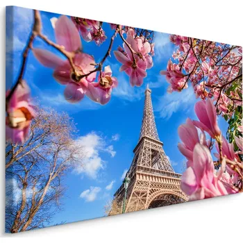 Plátno Eiffelova Věž Mezi Magnóliemi Varianta: 30x20