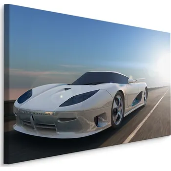 MyBestHome BOX Plátno Bílé Sportovní Auto Varianta: 40x30