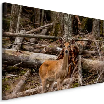 Obraz MyBestHome BOX Plátno Mladý Jelen Mezi Stromy Varianta: 40x30