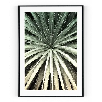 Plakát Plakát / Obraz Cactus Pololesklý saténový papír S bílým okrajem A4 - 21 x 29,7 cm