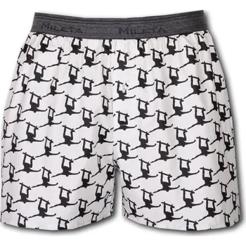 Pánské spodní prádlo Pánské Boxerky Skate Velikost: XXL